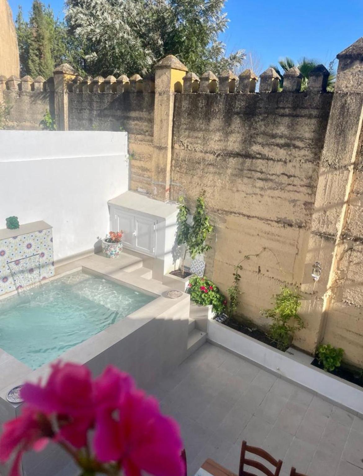 Casa Muralla Del Alcazar Viejo Córdoba Eksteriør billede